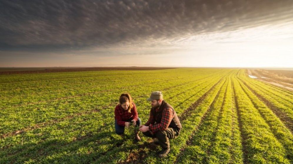 Romania, pe primul loc in UE la ponderea populatiei ocupate in agricultura