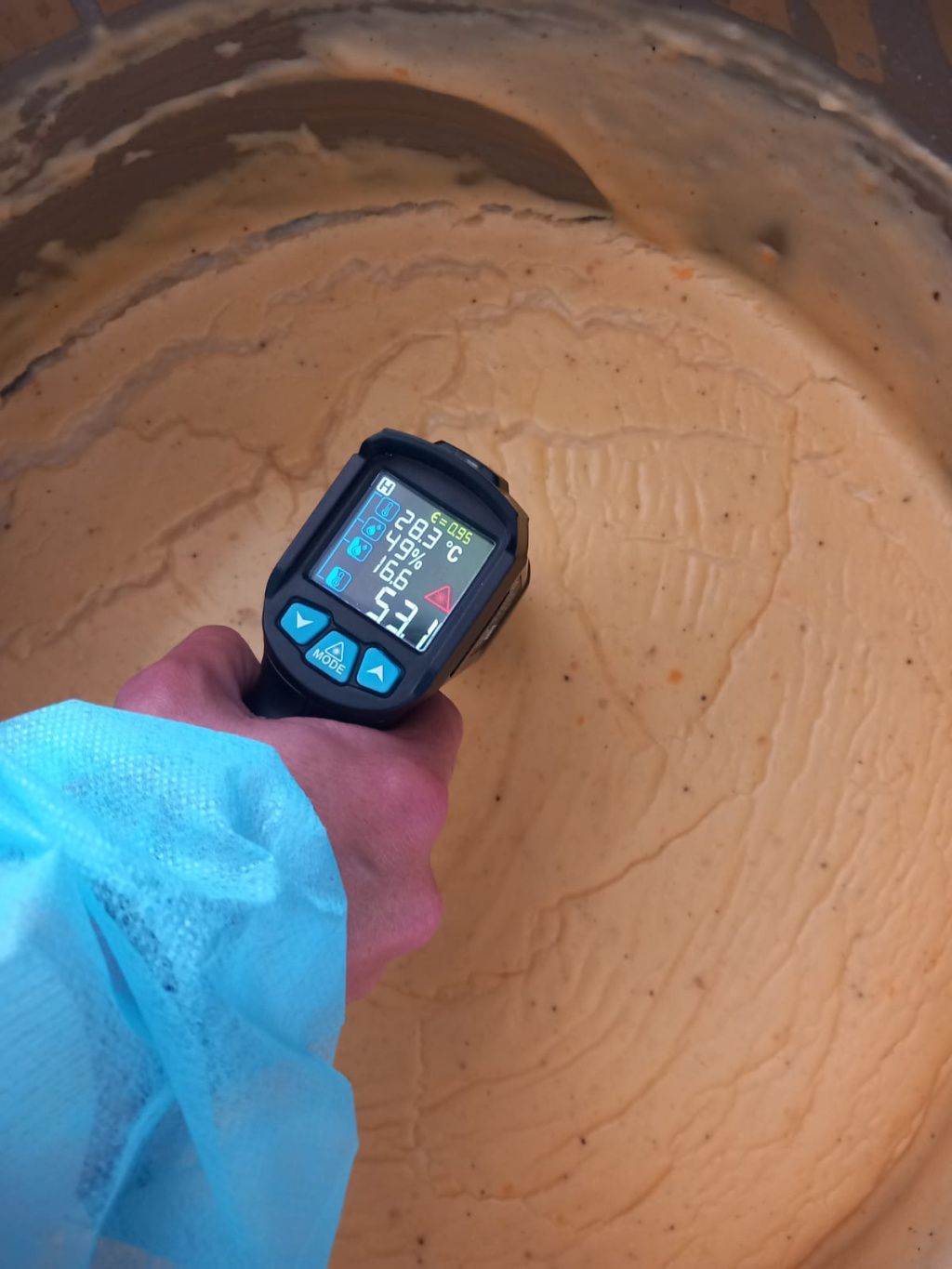 GALERIE FOTO | Piedone a ajuns pe litoral: Ce nereguli grave a descoperit ANPC în restaurantele și - Imagine 7