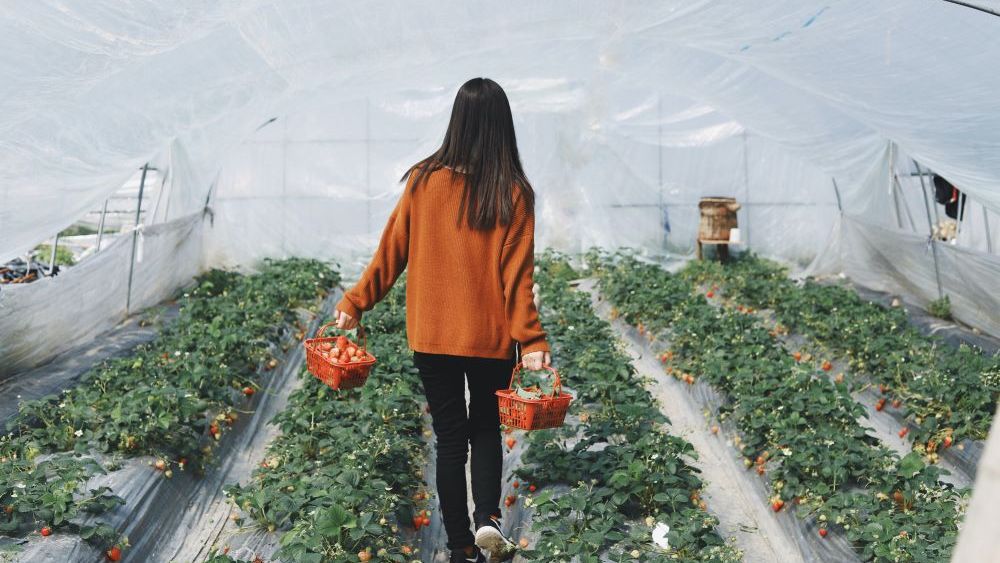 Cum să îți deschizi o afacere de succes la sat