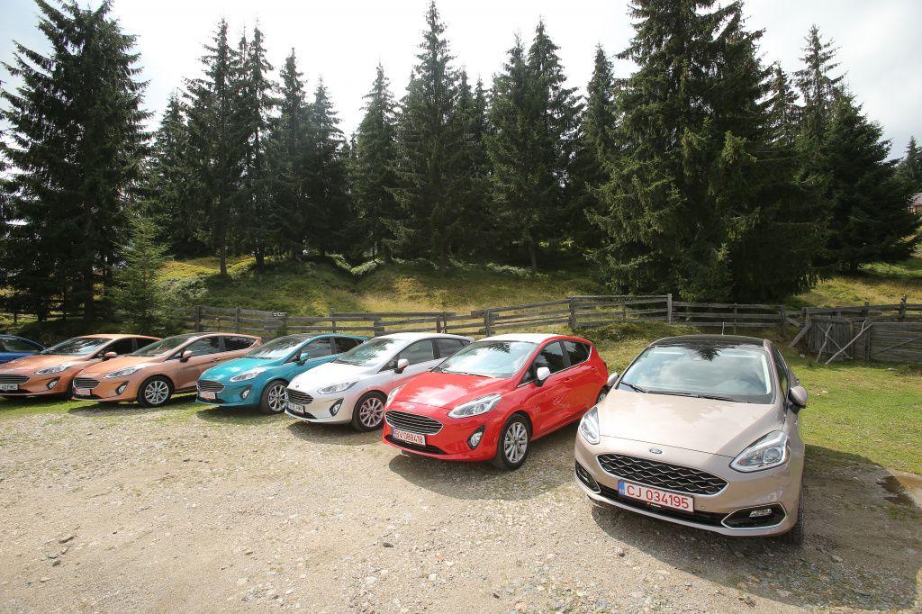 Ford Fiesta - Imagine 21