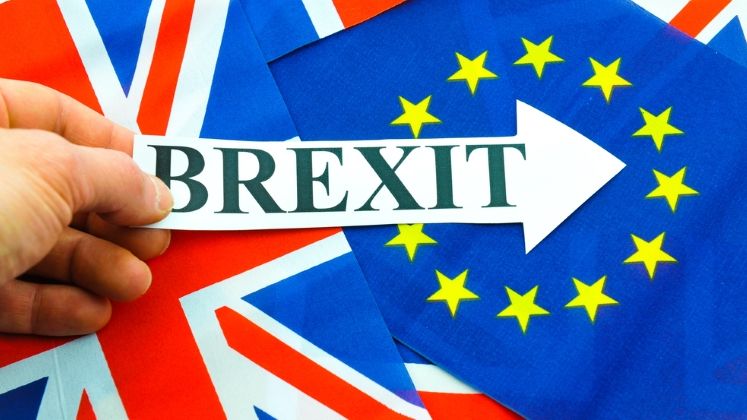 M. Britanie: Ministrul Muncii a declarat ca cetatenii europeni vor avea nevoie de documente pentru a ramane dupa Brexit