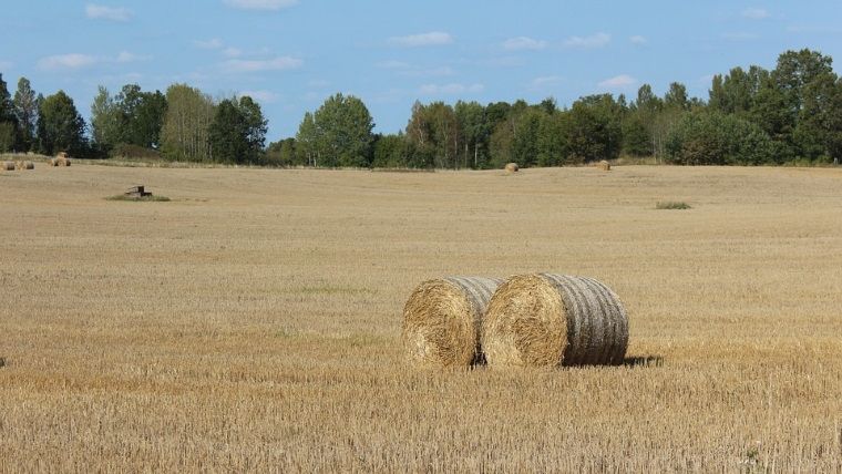 Capacitatea de depozitare a cerealelor din Romania a crescut cu 34% in ultimii cinci ani