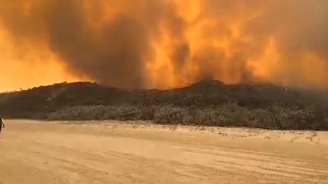 O insulă din Australia, patrimoniu UNESCO, este devastată de incendii