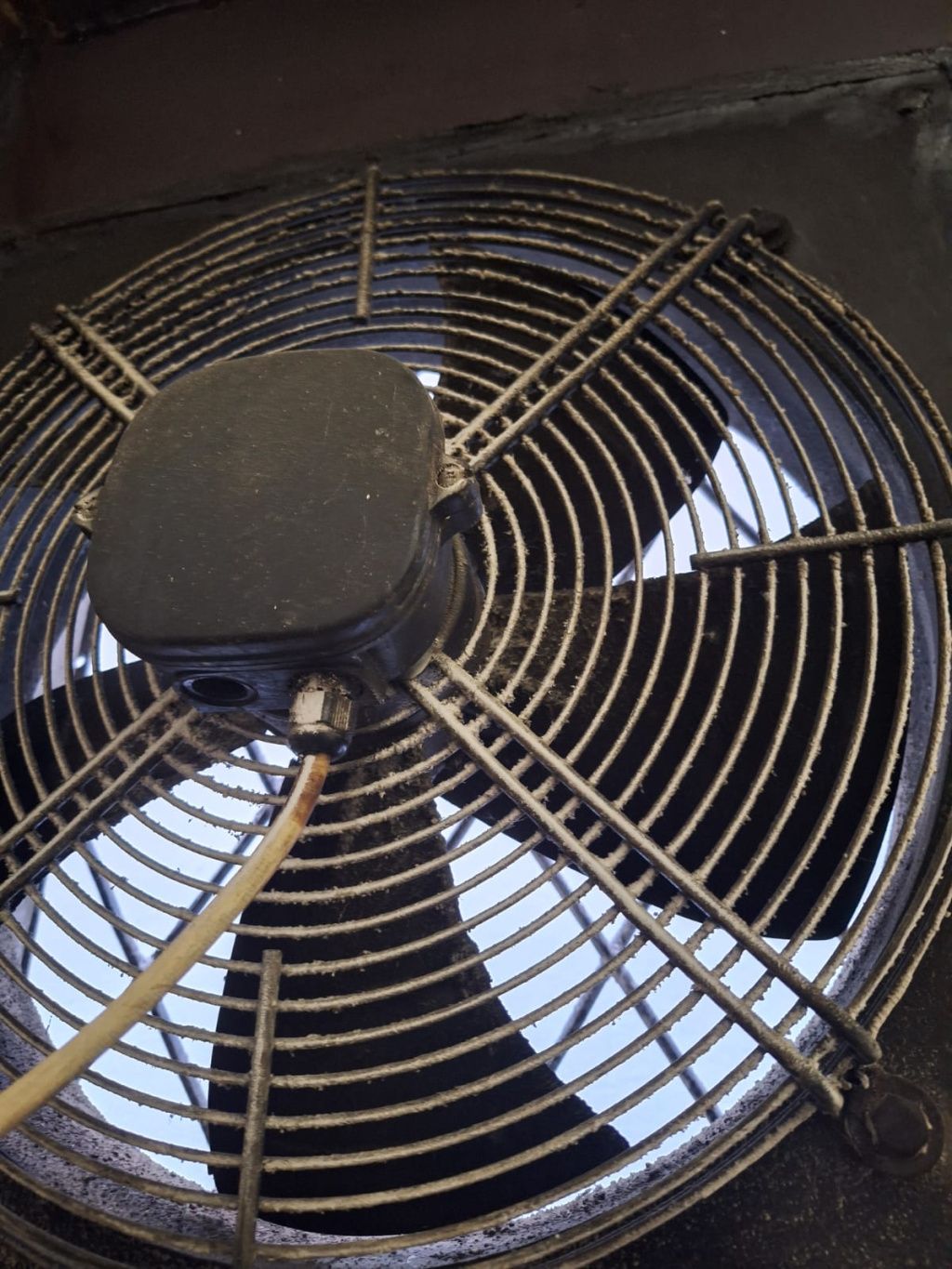 GALERIE FOTO | ANPC, amenzi de peste 3 milioane după controale în industria pâinii - Imagine 5