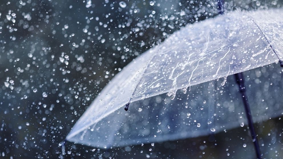 Cod galben de vijelii în București și în țară: Prognoza ANM pentru începutul săptămânii