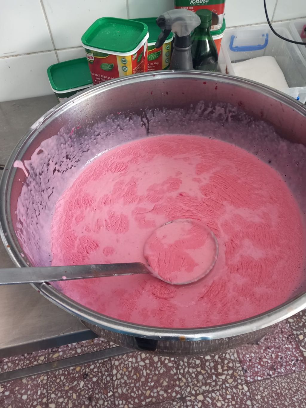 GALERIE FOTO | Piedone a ajuns pe litoral: Ce nereguli grave a descoperit ANPC în restaurantele și - Imagine 4