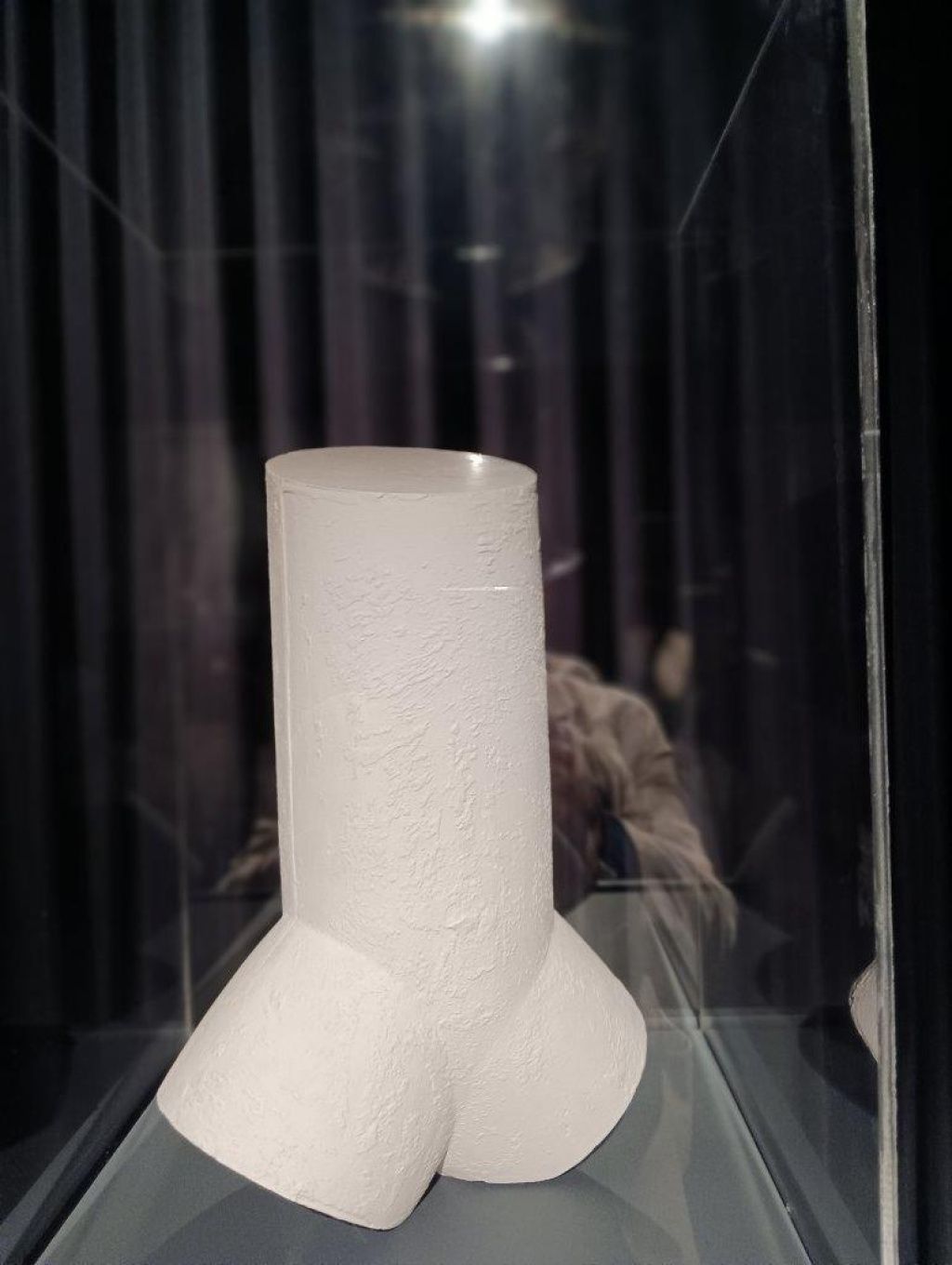 Expoziția Brâncuși de la Timișoara: capodoperele, în vizită în patria părintelui lor - Imagine 48