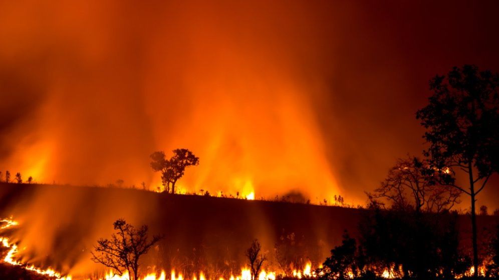 Fumul de la incendiile din Australia va ajunge pe tot globul, iar atmosfera ar putea fi schimbata