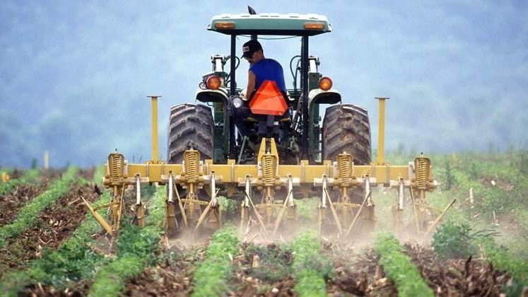 Fonduri europene: Fermierii au solicitat 1,5 mld. euro. Cat au primit pana acum?