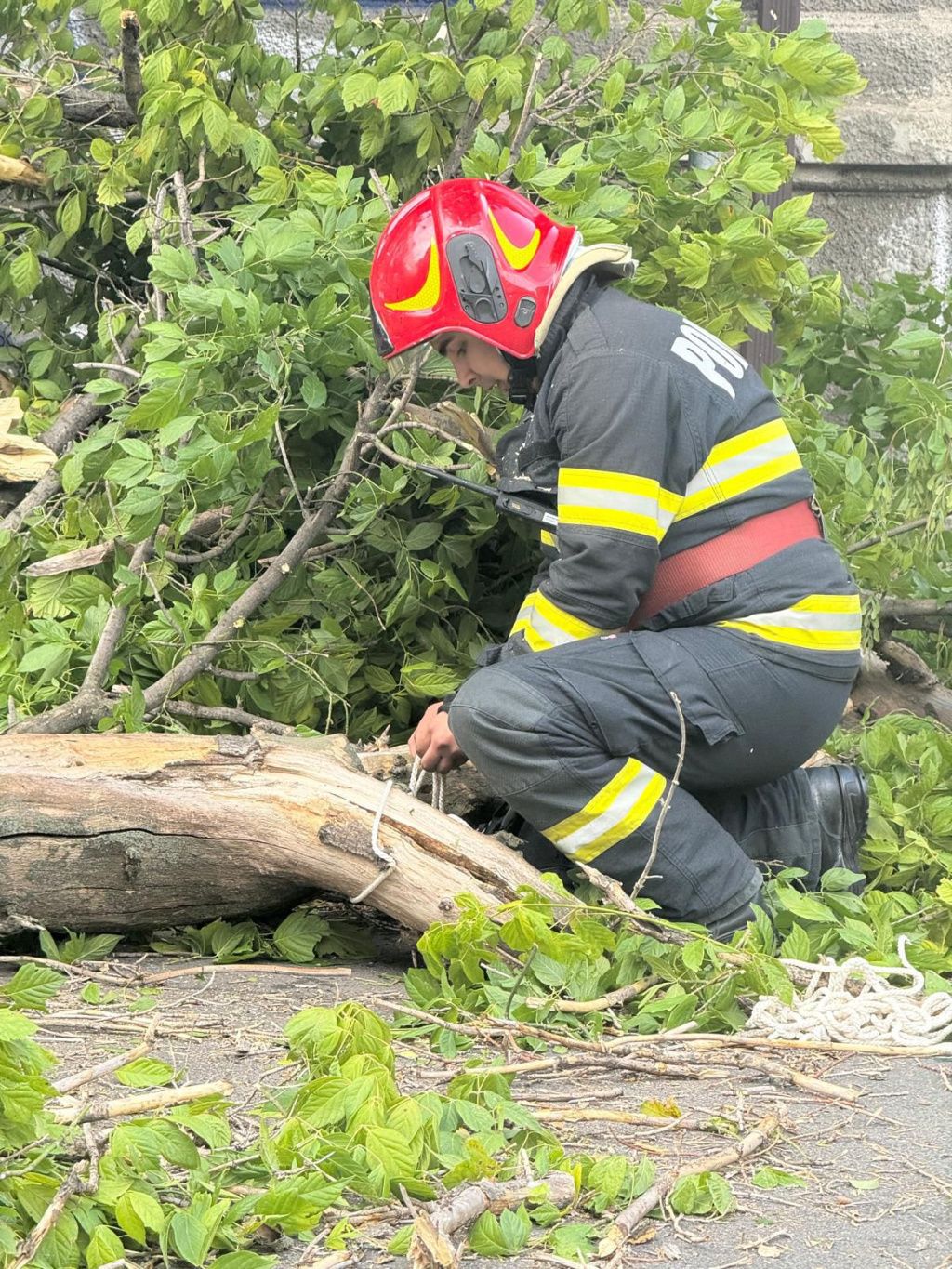 FOTO | Cod roșu de furtună: Mai mulți copaci din Capitală au căzut. O femeie și-a pierdut viaÈ - Imagine 6