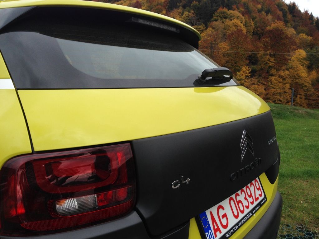 Citroen C4 Cactus - Imagine 8