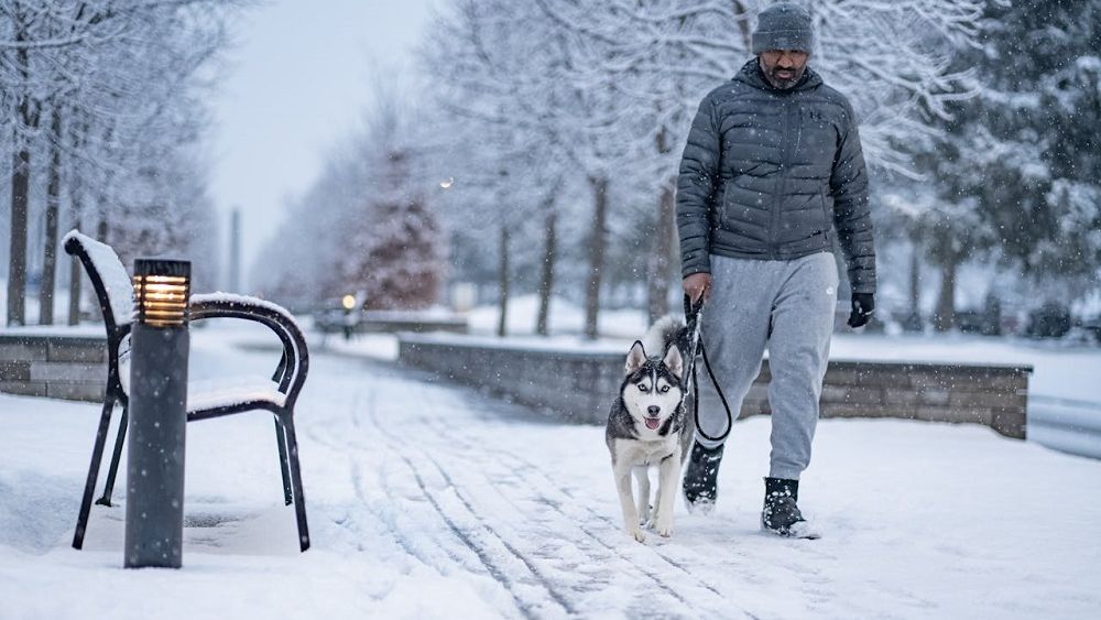 Avertizare meteo: Cod galben de ninsori şi viscol în București și în mai multe județe