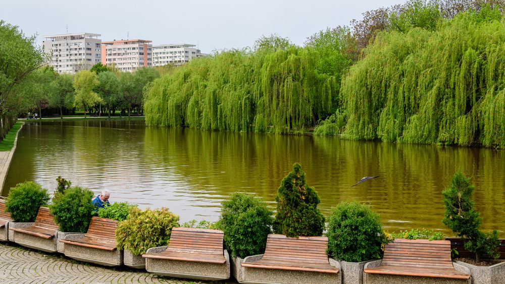 Nicușor Dan: Lupta pentru parcul IOR nu s-a sfârșit, mai există căi juridice pentru părțile retrocedate