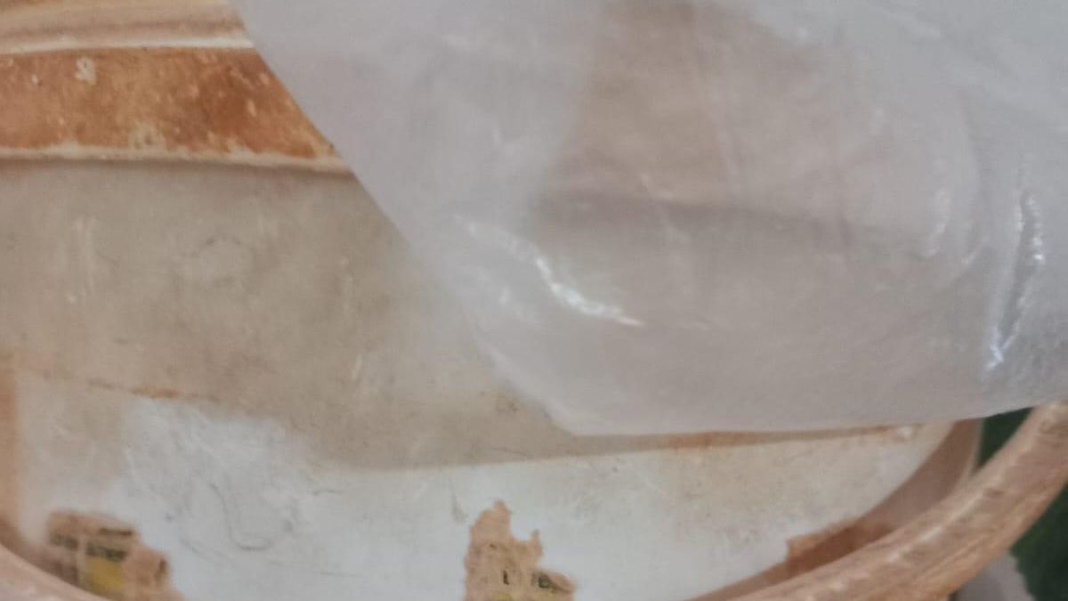 FOTO | Fabrică de pâine, închisă pe termen nelimitat de ANPC. Ce nereguli au găsit inspectorii