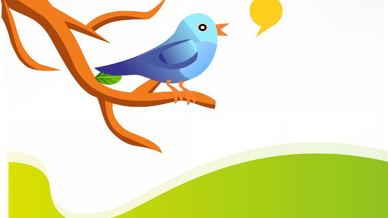 Actiunile Twitter se prabusesc - Disney si Google nu sunt interesate de achizitionarea companiei