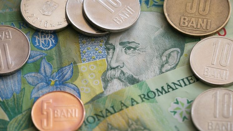 Curs valutar: Leul se opreste din goana deprecierii, insa cresterea este minora