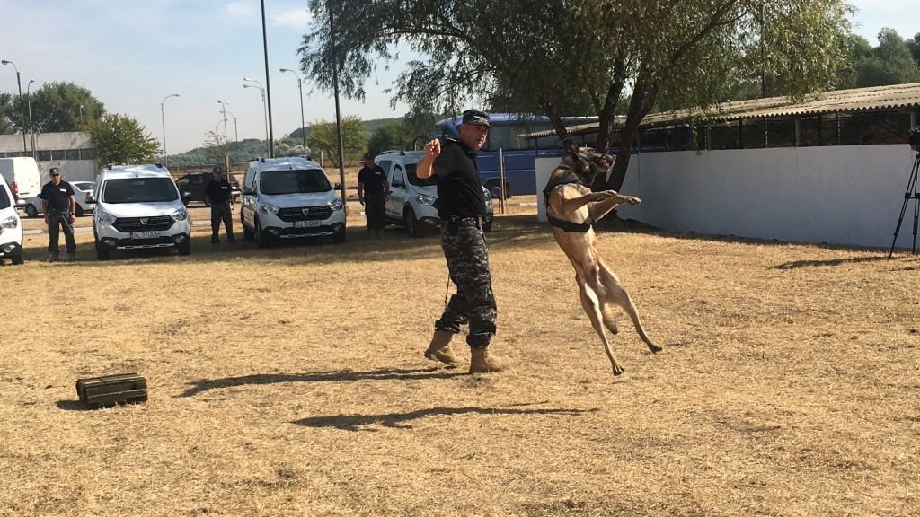 Patrupezii care aduc venituri de peste un milion de euro din marfa de contrabanda descoperita - Imagine 5