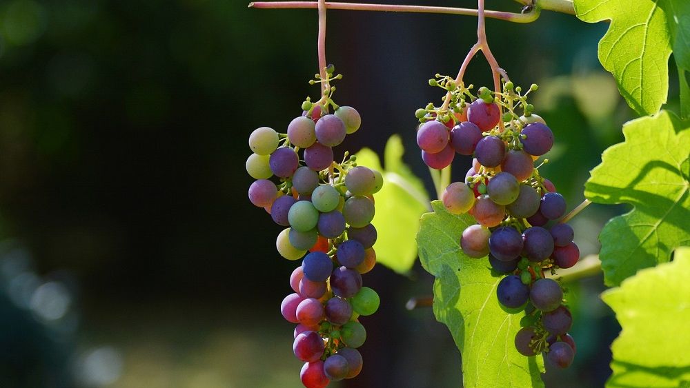 TOP lucruri de făcut în weekend-ul 07 - 09 octombrie. Unde puteți ieși în oraș la finalul acestei săptămâni