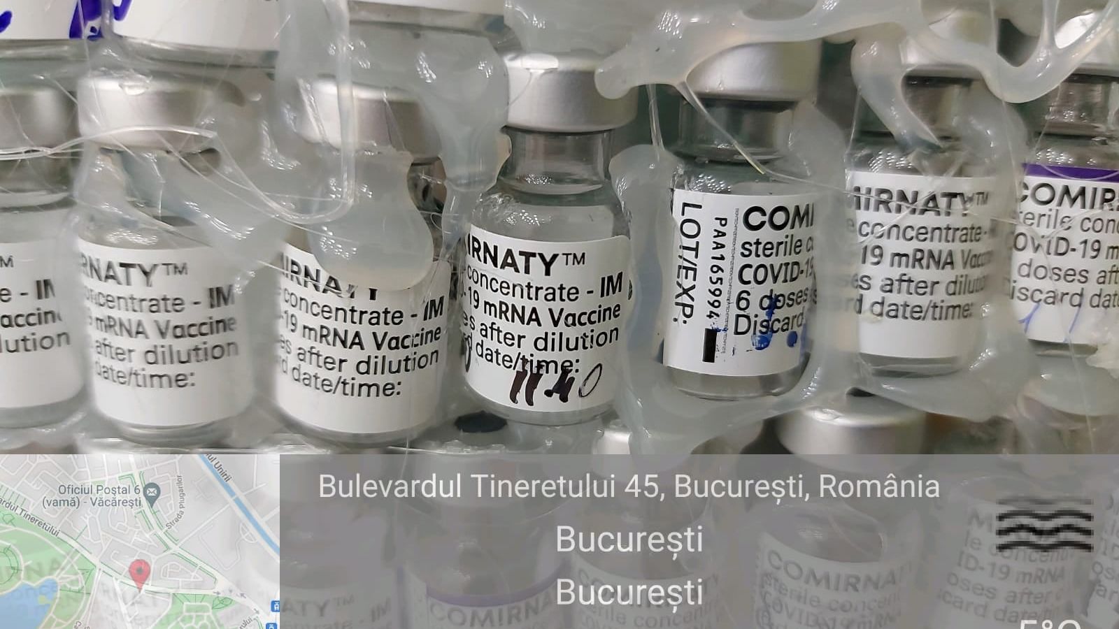 Garda de Mediu a amendat construirea ineditului brad de Crăciun din doze de vaccin