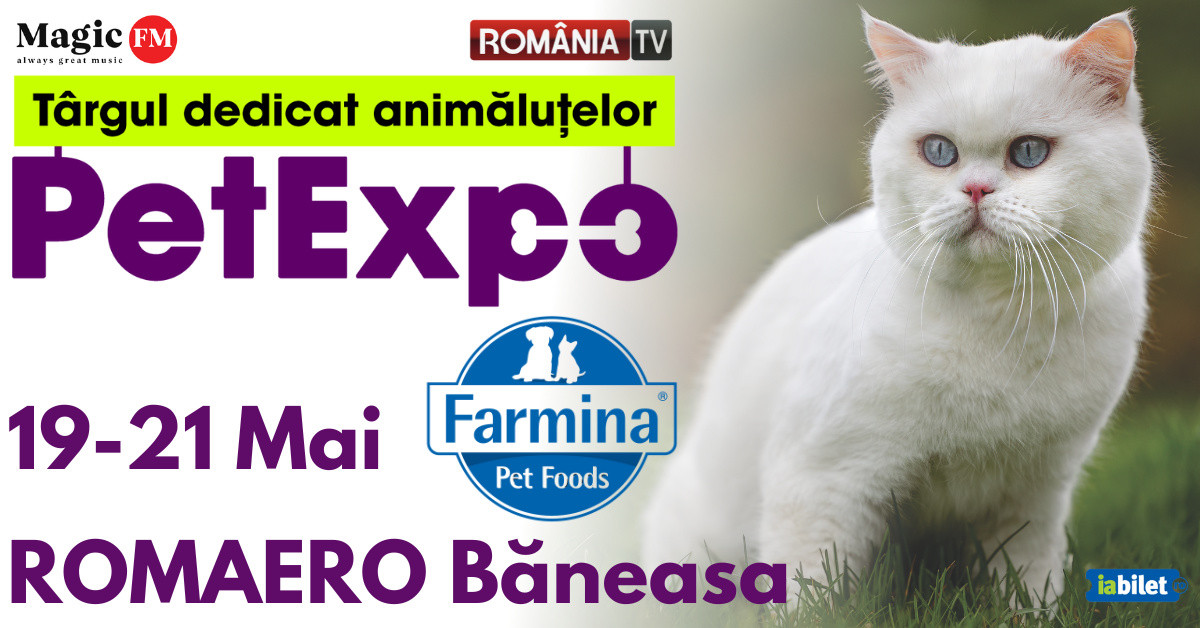 Show de pești exotici, concurs de grooming, prezentare de rase canine ...