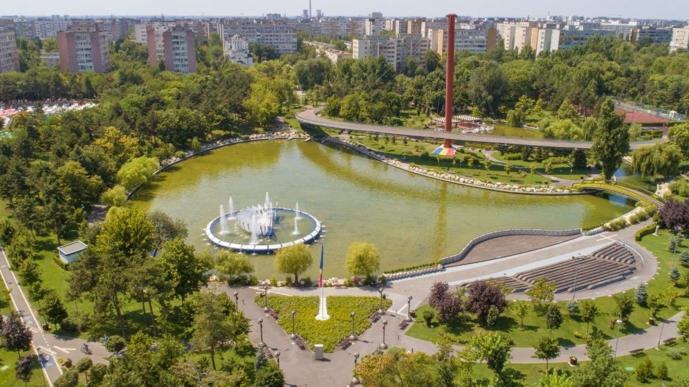 Primăria Sectorului 6 vrea să planteze copaci și gard viu de până la 60 milioane lei