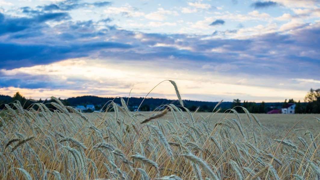 Tehnologii inovatoare care pot fi folosite pentru a combate inamicul nr.1 al agriculturii, seceta. Soluții prezentate de specialiști