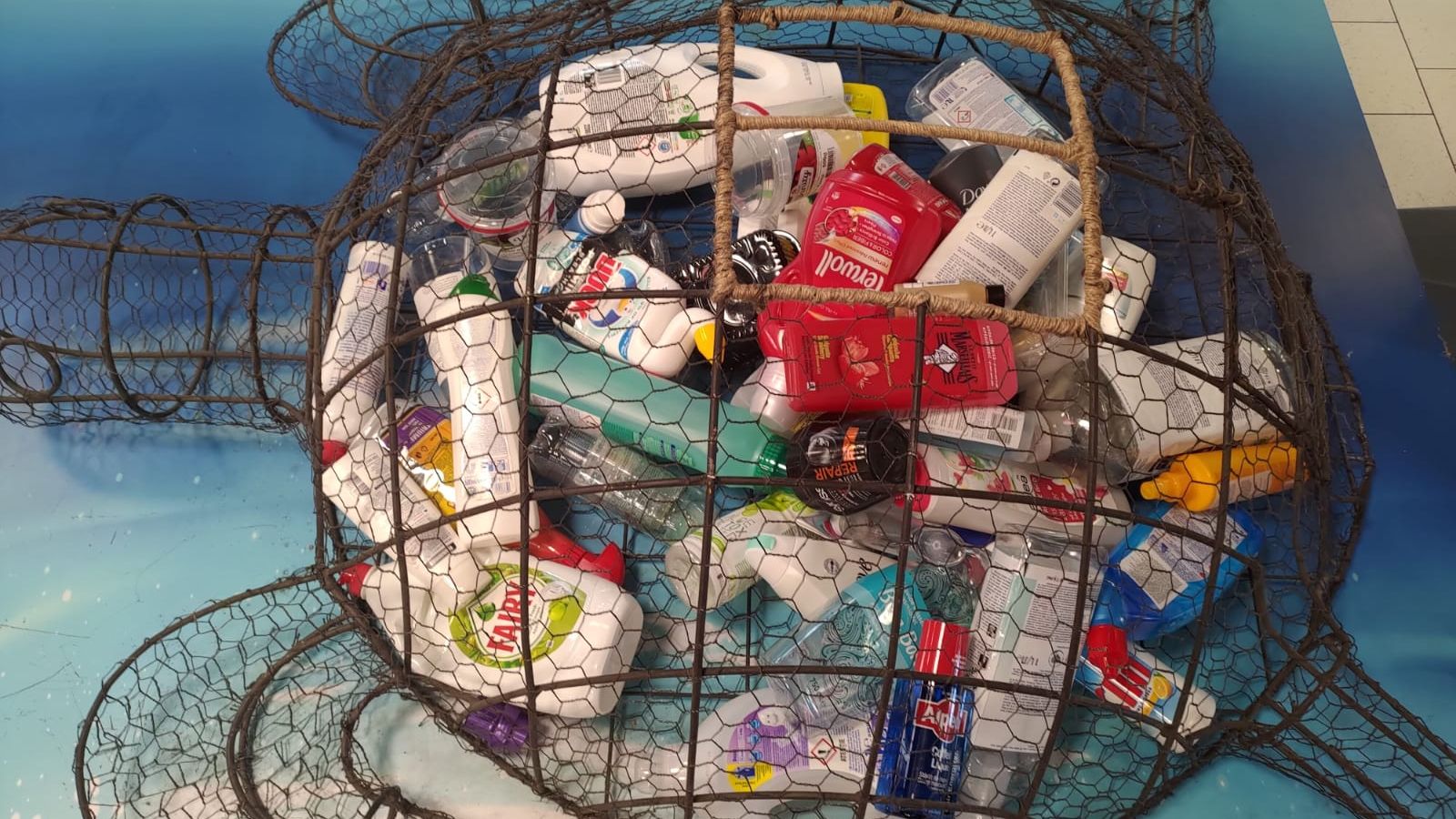 Kaufland România aduce în magazine prima infrastructură de reciclare a produselor de îngrijire personală și a locuinței