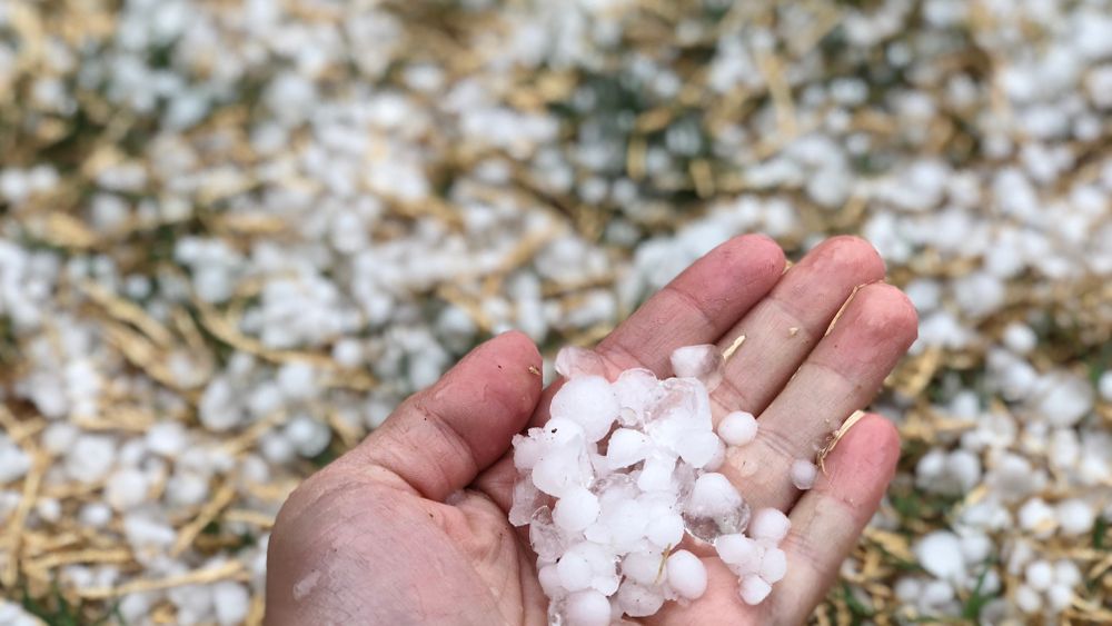 Ministerul Agriculturii: 365 de rachete antigrindină lansate pentru protejarea culturilor agricole din nouă judeţe