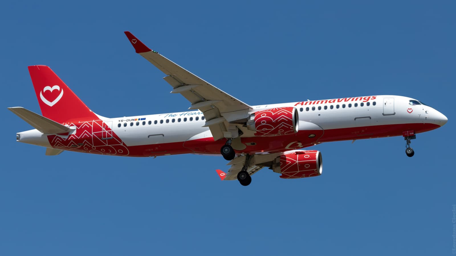 AnimaWings adaugă un nou avion Airbus flotei sale și lansează zboruri noi. Care sunt noile destinații