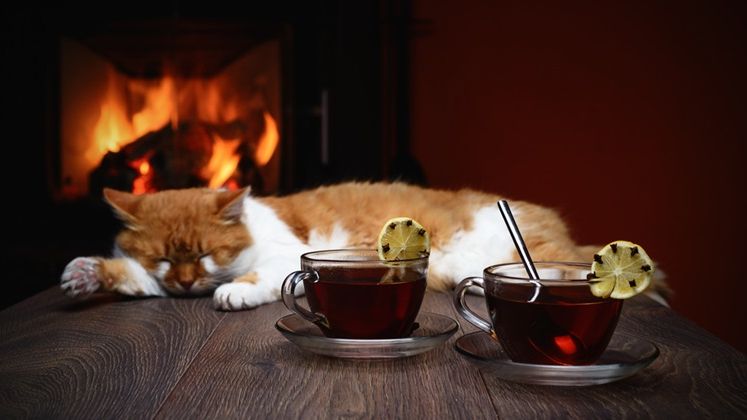 Vreme geroasa pana miercuri, cu ninsori izolate si temperaturi minime de pana la -26 de grade Celsius