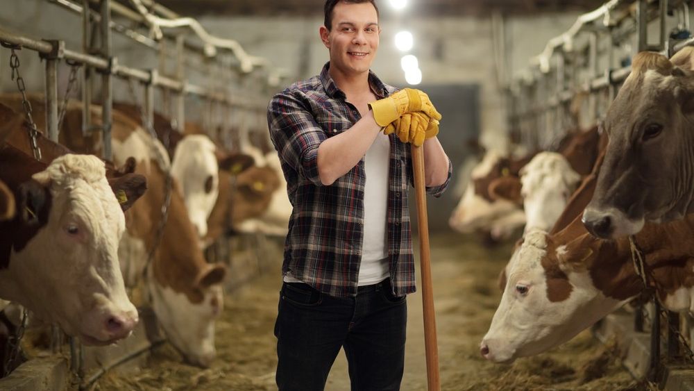 Fermier cu experienta explica de ce tinerii ar trebui sa aleaga agricultura si NU informatica