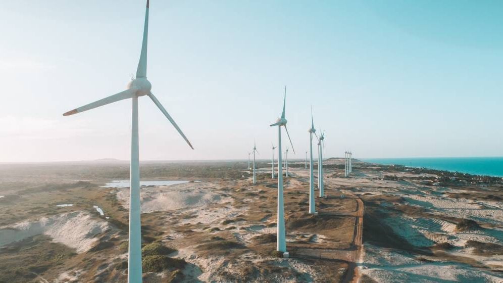 Analiză: O jumătate din necesarul mondial de electricitate va veni din surse regenerabile, în 2030