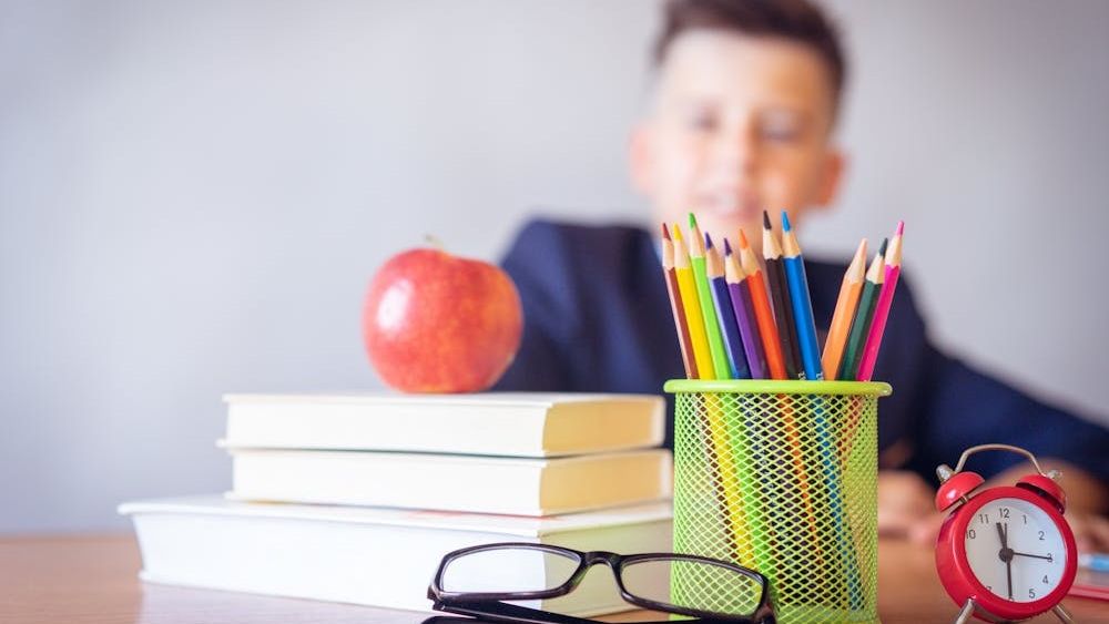 Black Friday la cărți și manuale pentru copii: Ce reduceri promite Editura Sigma