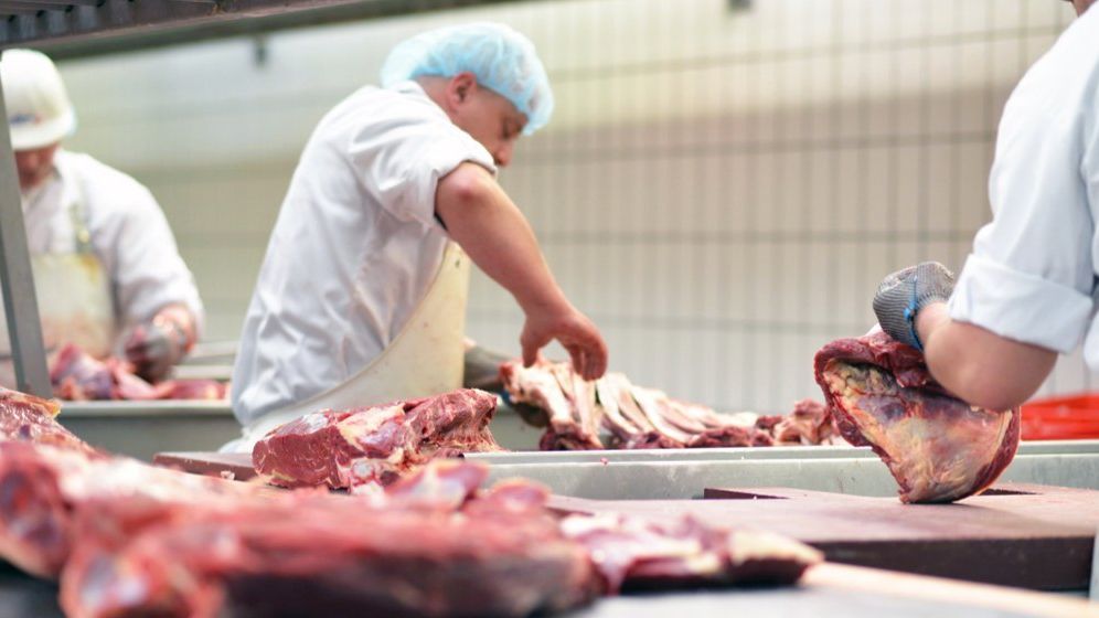 Aproape 1.000 de români infectați cu coronavirus la abatorul din Germania, cel mai mare focar de COVID-19 al Europei