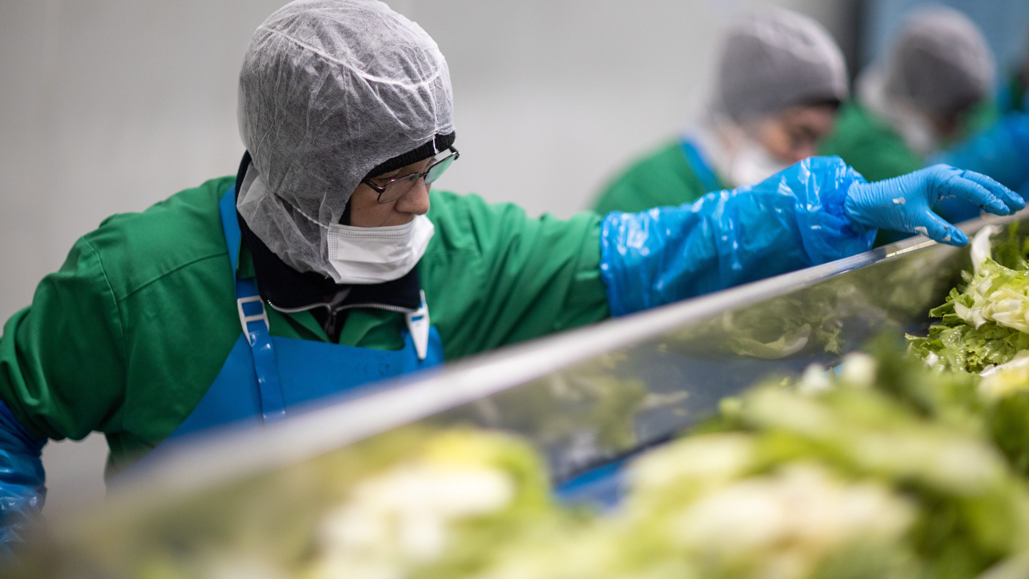 Green Factory anunță achiziția Eisberg România și Eisberg Ungaria