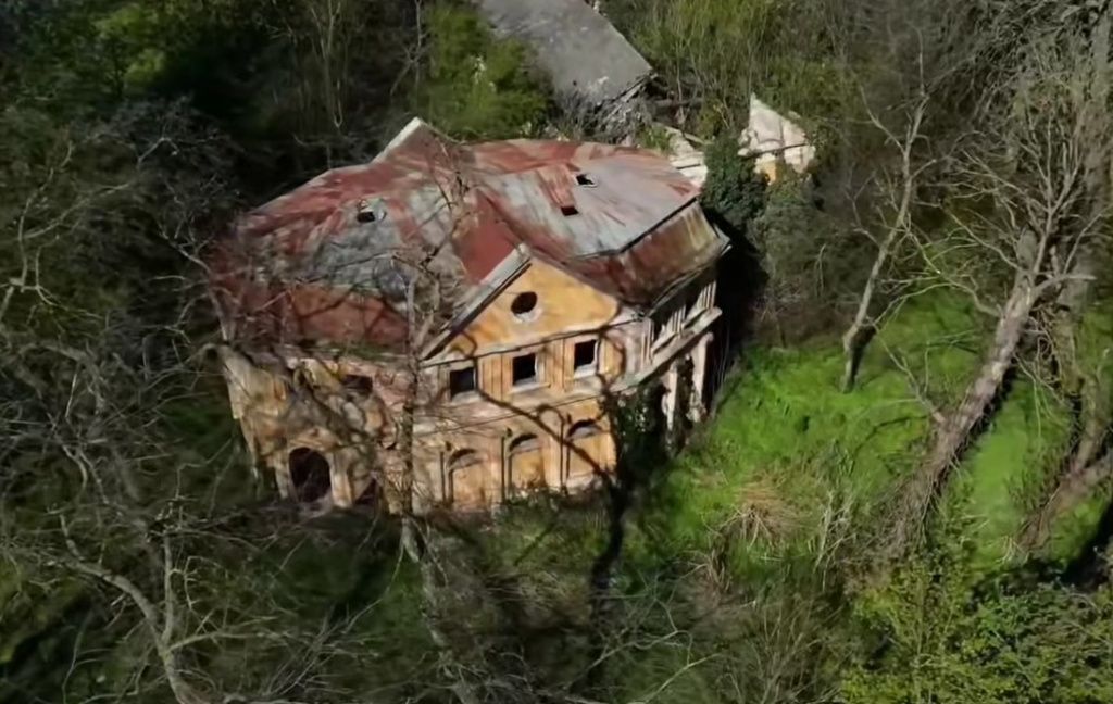 Alfred Simonis / Facebook - captură video