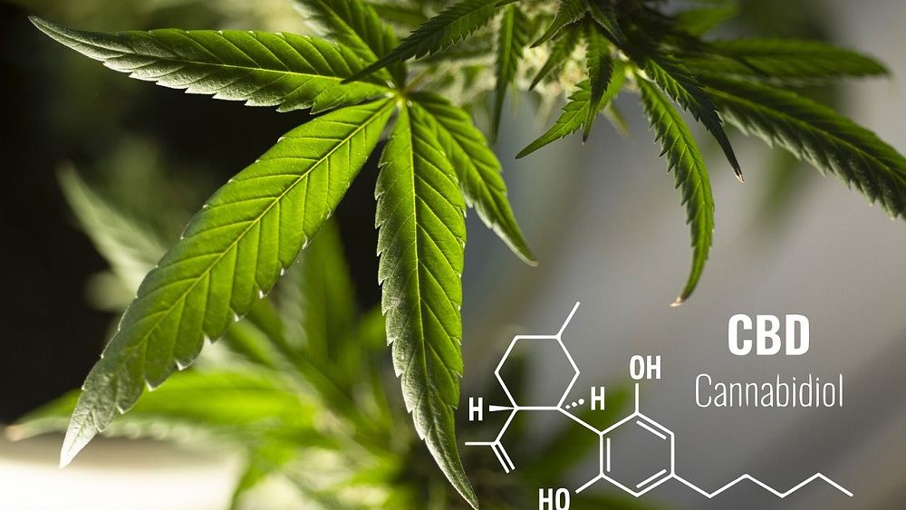 Cel mai nou trend în materie de relaxare: SPA cu CBD, derivat din canabis. Cât costă masajele cu CBD în Europa