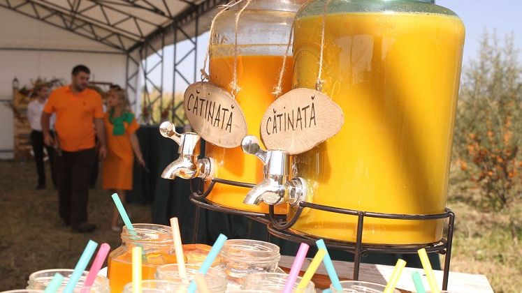 Plantatie de catina ecologica: Noua fermieri au investit 1 mil. euro si acum vizeaza piete din Asia si Europa