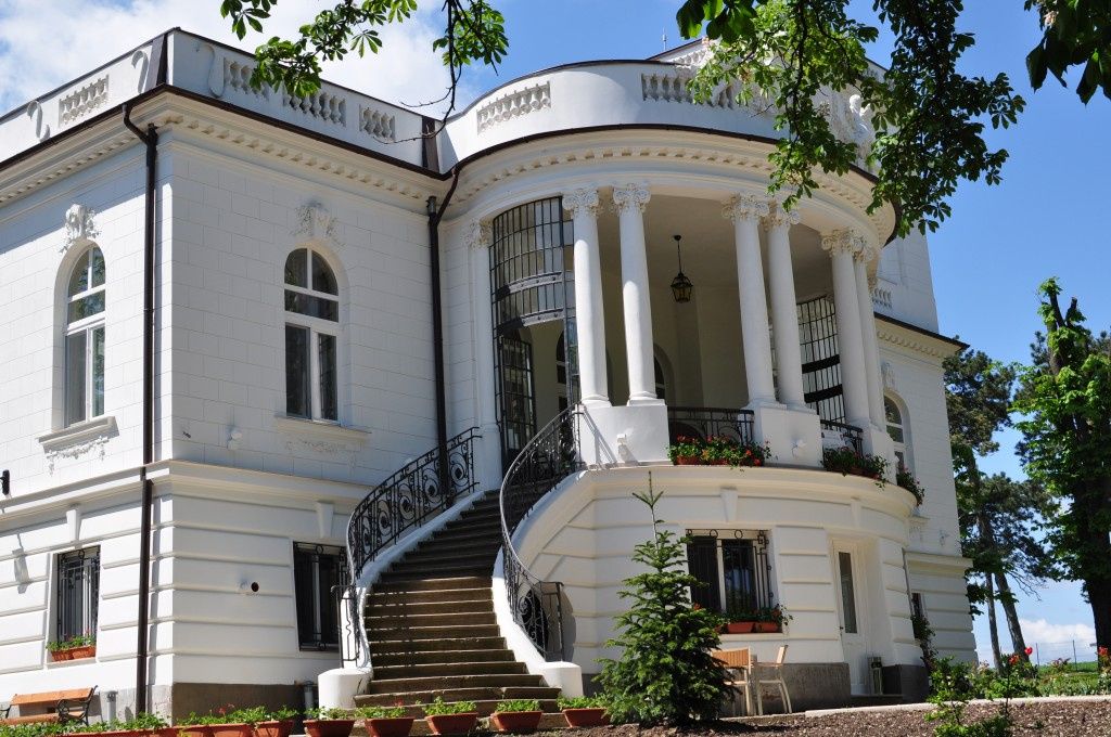 FOTO: Așa arată White House de Oltenia, conacul românesc care seamănă izbitor cu reședința of - Imagine 5