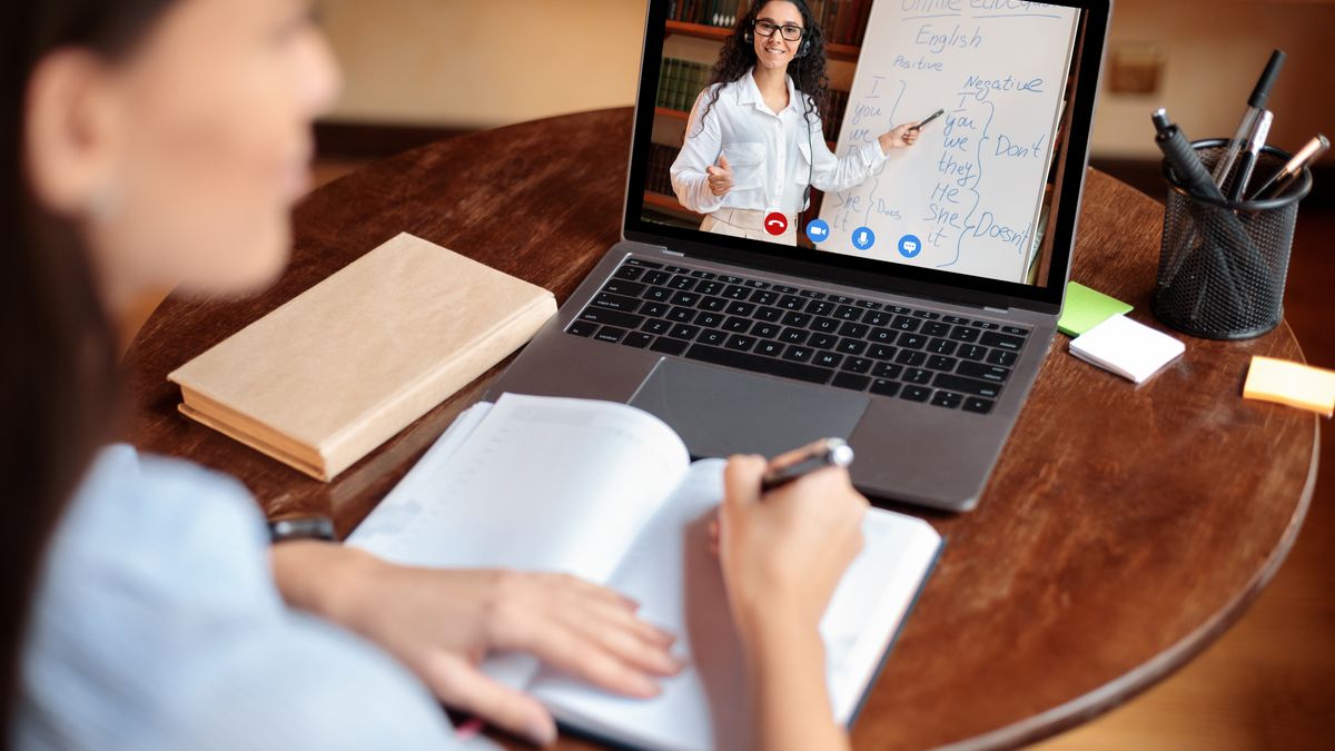 Avantajele și dezavantajele învățământului online. Care vor fi efectele în piața muncii?