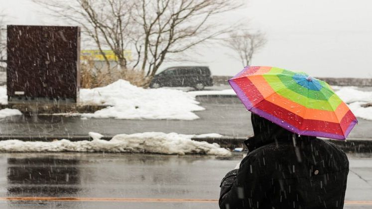 Ninsori, ploi si vant in aproape toata tara, de marti pana miercuri dimineata