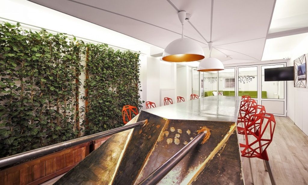 Sala de co-working are si un perete de iedera.