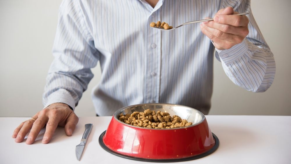 5 moduri bizare prin care oamenii fac bani: cât câștigă un degustător de hrană de căței