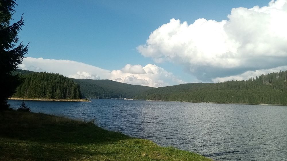 FOTO | De la "Nicio masă fără pește" la "Păstrăvul din țara ta": cooperativa care vrea ca peștele românilor să vină exclusiv din România