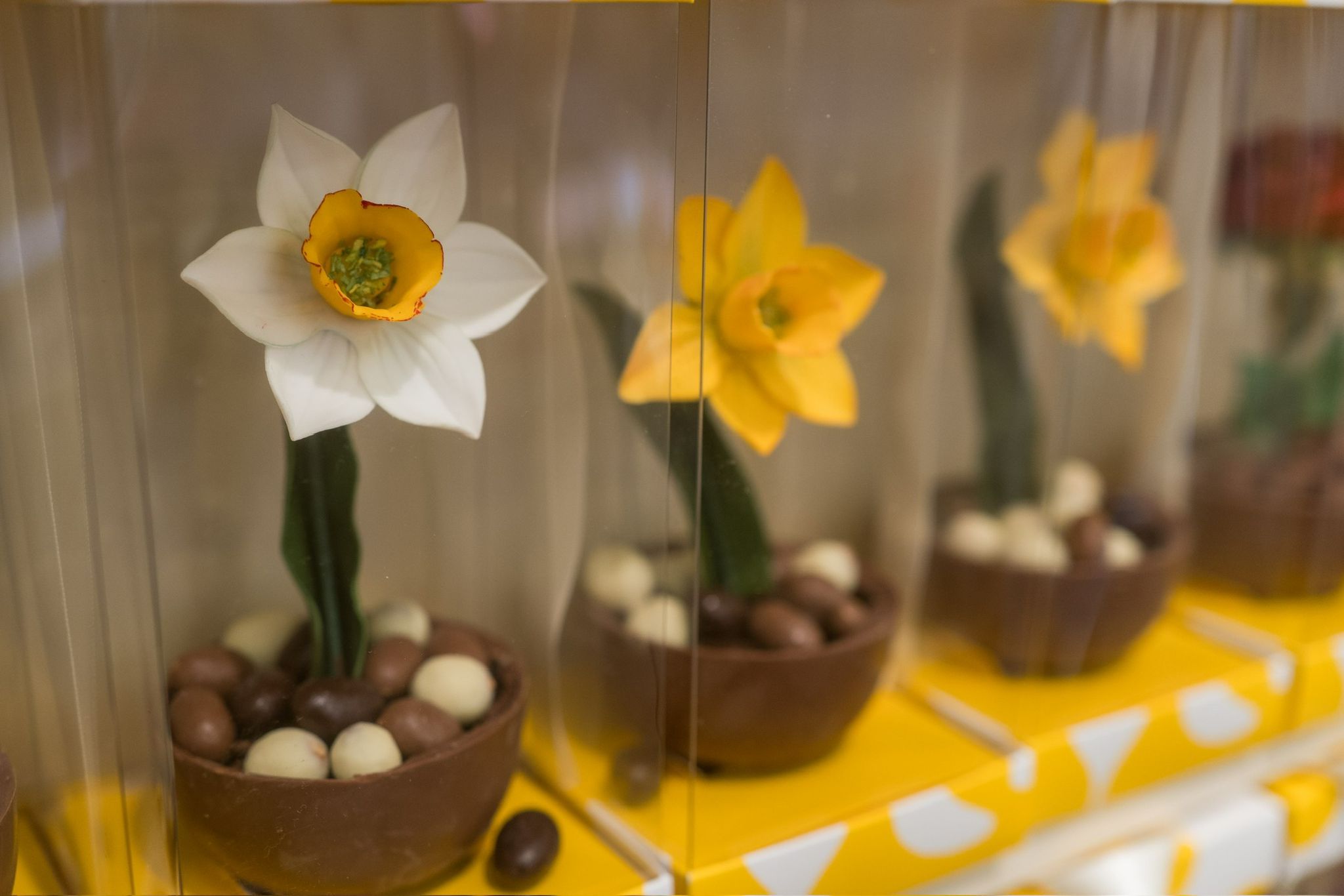 [Galerie FOTO] Festivalul Chocolate Saga revine la București: Trei zile cu ciocolată gourmet și gogoși artizanale - Poza 7