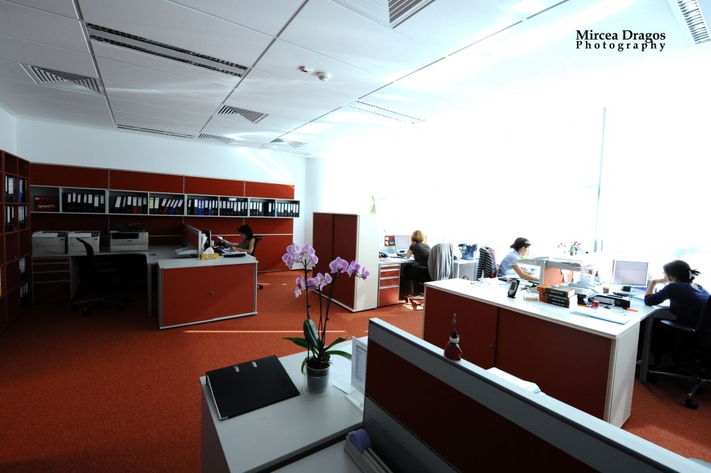 Birou Teaha Consulting - Imagine 33