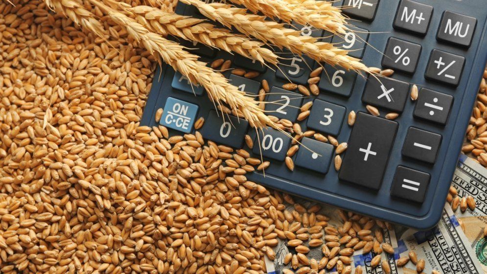 Mai este agricultura românească profitabilă în 2026? 25 de kilograme de grâu costă cât o cafea în oraș