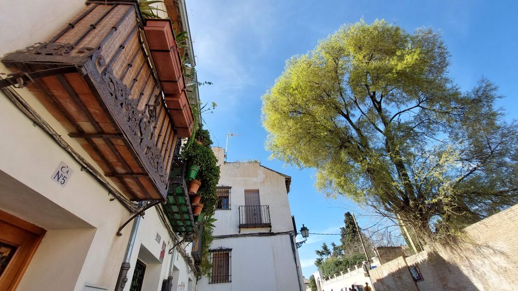 Granada - Imagine 7