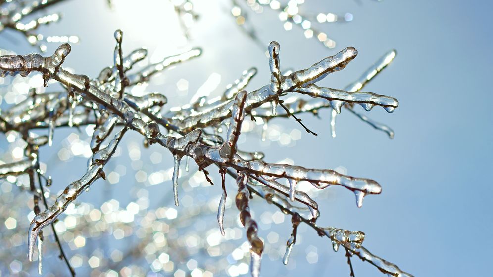 ANAT: Sezonul turistic de iarnă trebuie salvat