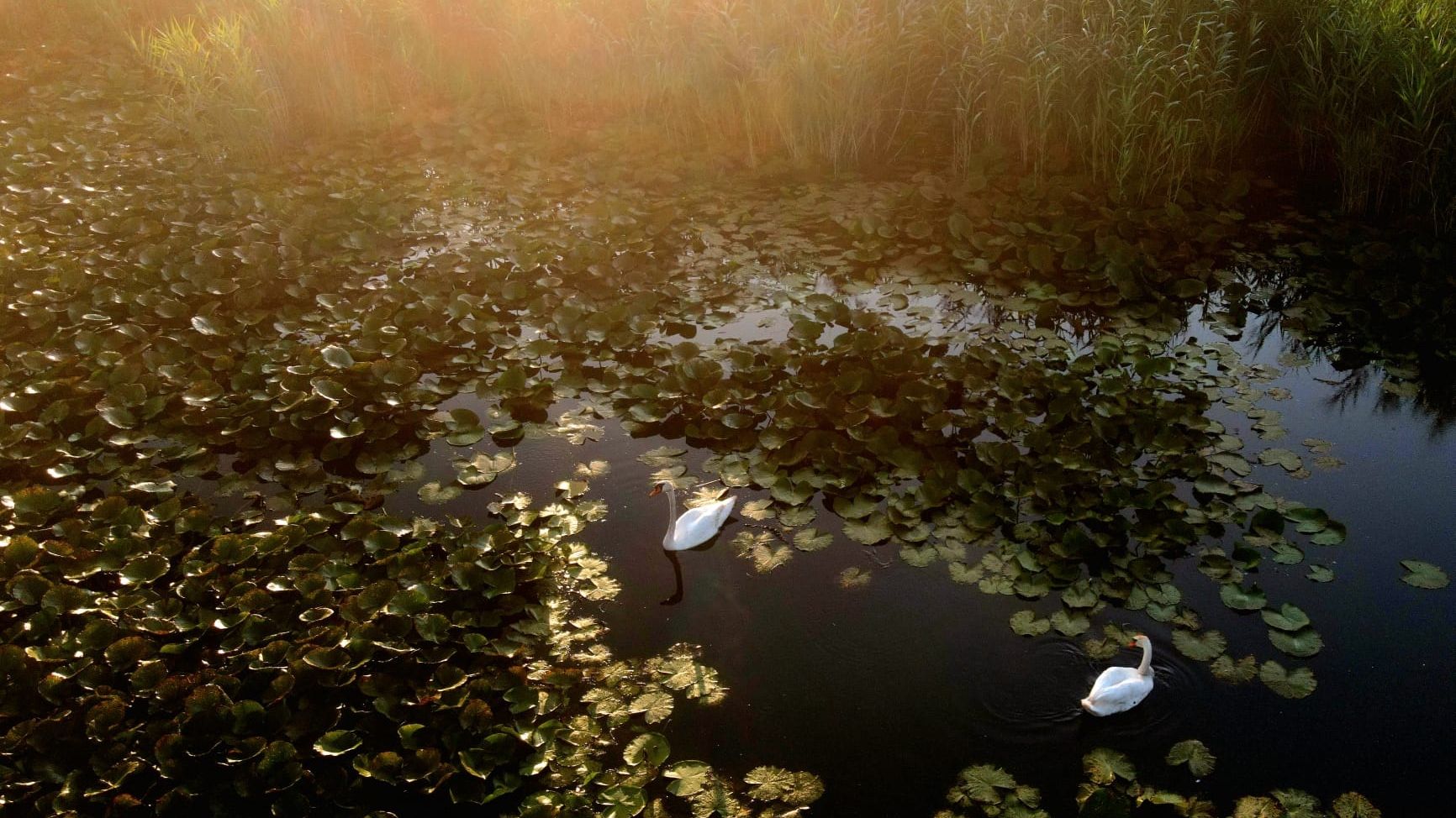 O mică deltă din Mehedinți reintră în circuitul turistic
